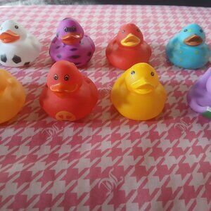 Rubber ducky assortmant